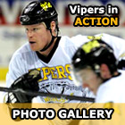 Vipers Gallery